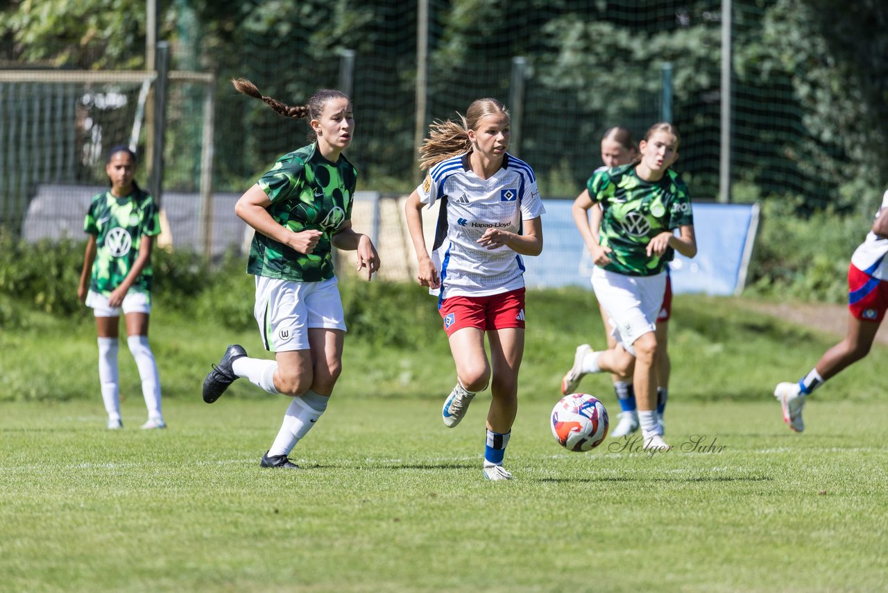Bild 354 - wBJ Hamburger SV - VfL Wolfsburg : Ergebnis: 5:1